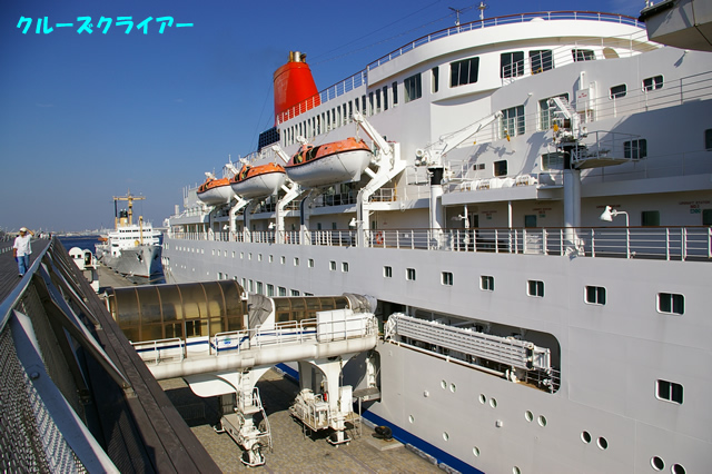 IMGP0202.jpg