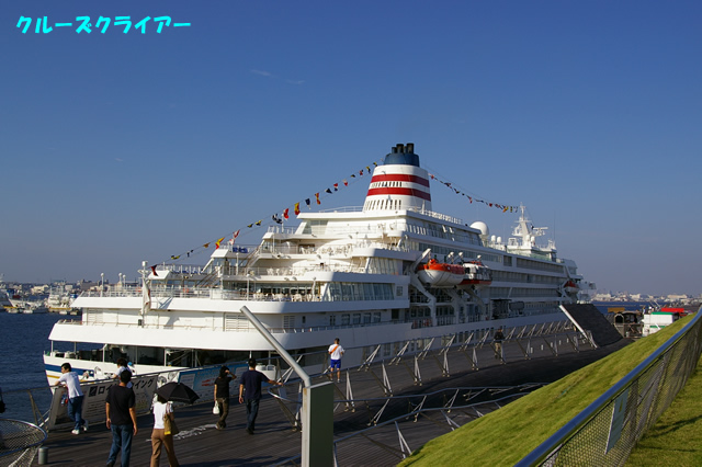 IMGP0232.jpg