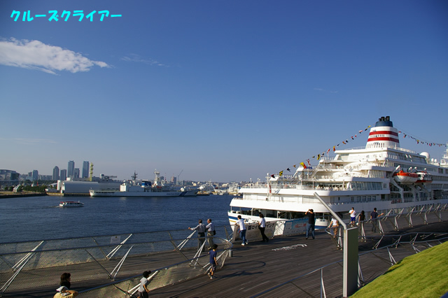 IMGP0233.jpg