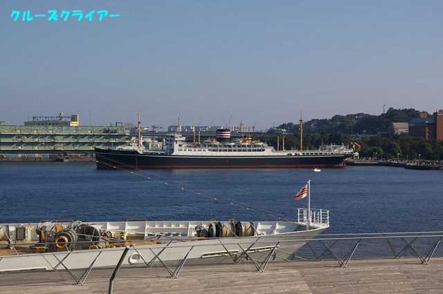 IMGP0234.jpg