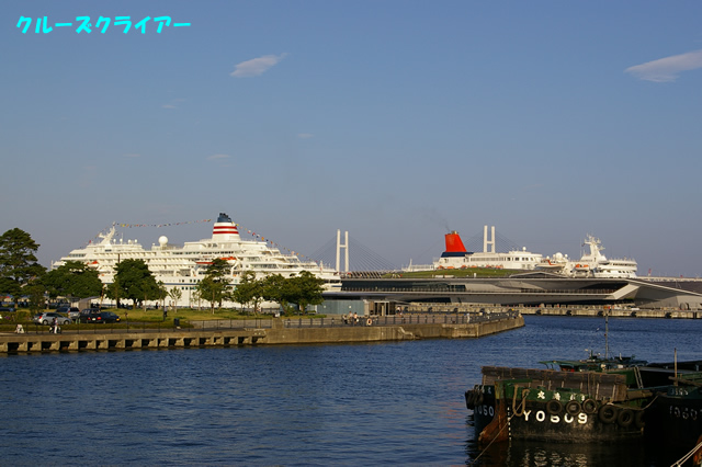 IMGP0241.jpg