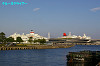 IMGP0241_thumb.jpg