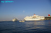 IMGP0246_thumb.jpg