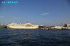 IMGP0251_thumb.jpg