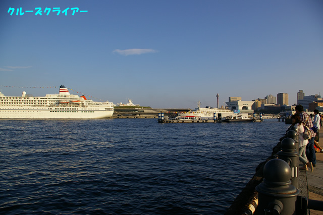 IMGP0254.jpg