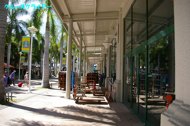 IMGP0308.jpg