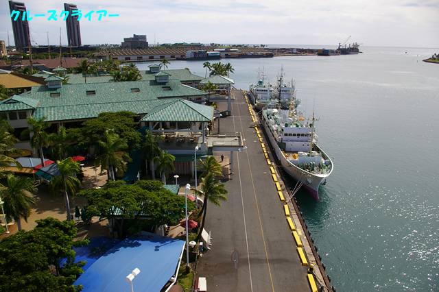 IMGP0326.jpg