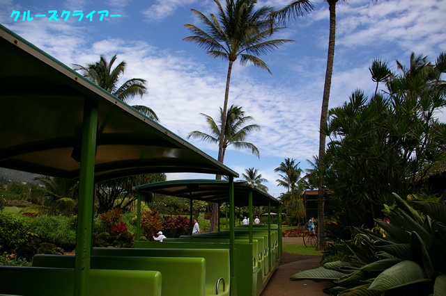IMGP0633.jpg