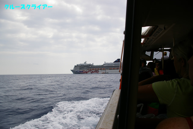 IMGP0824.jpg