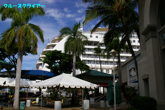 IMGP1159.jpg
