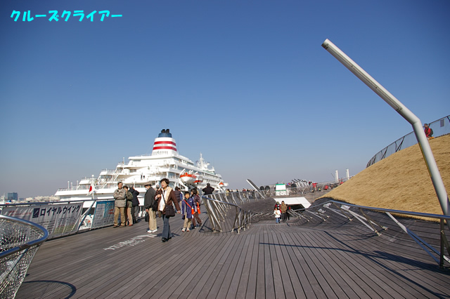IMGP1456.jpg