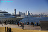 IMGP1493_thumb.jpg