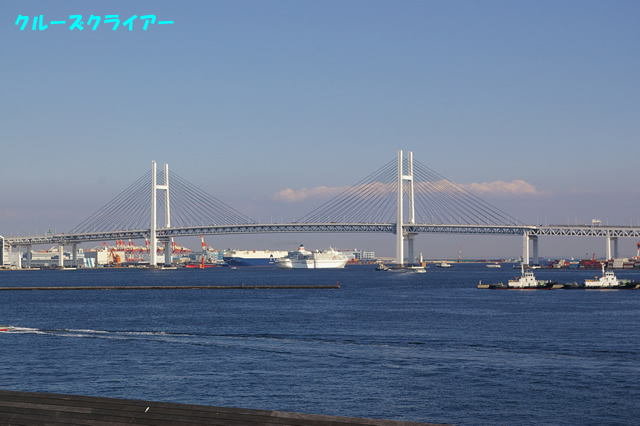 IMGP1534.jpg