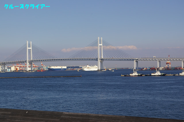 IMGP1535.jpg