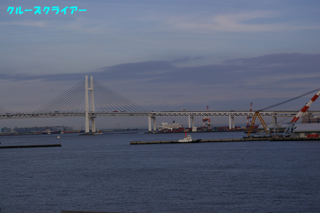 IMGP1542.jpg