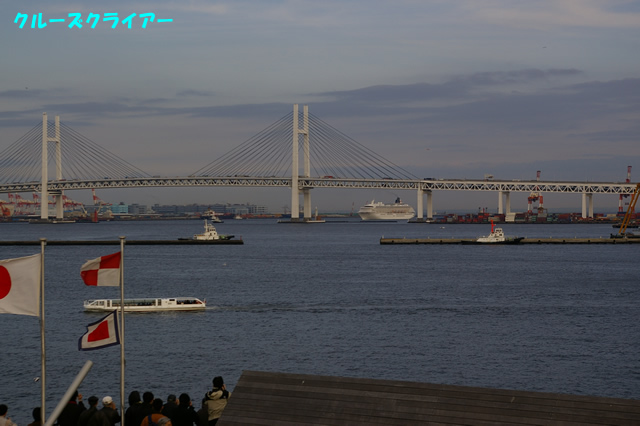 IMGP1543.jpg
