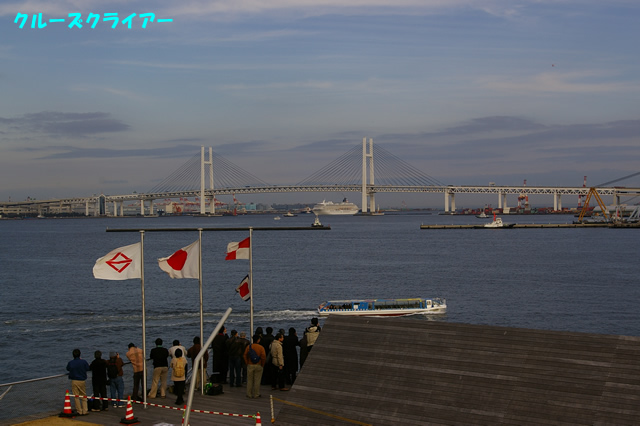 IMGP1546.jpg