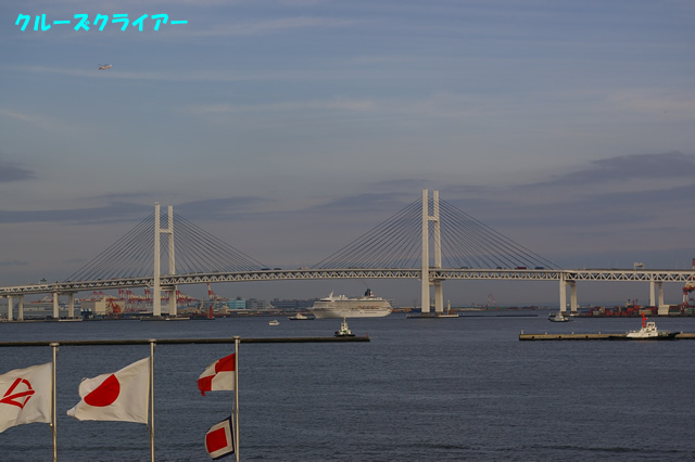 IMGP1547.jpg