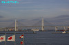 IMGP1547_thumb.jpg