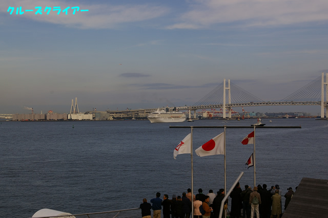 IMGP1551.jpg