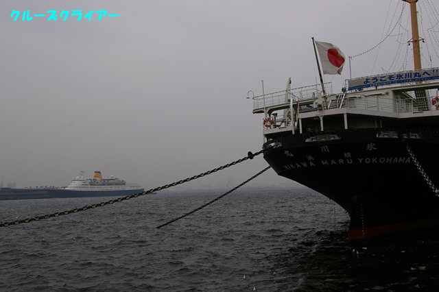 IMGP1629.jpg
