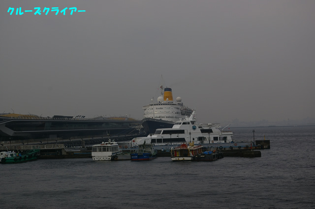 IMGP1632.jpg
