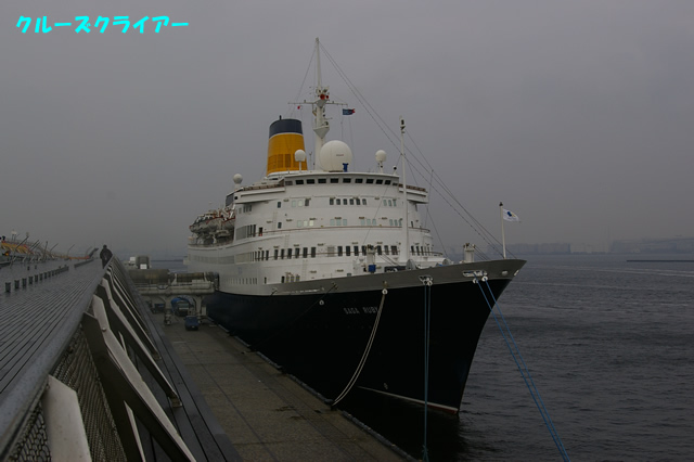 IMGP1636.jpg