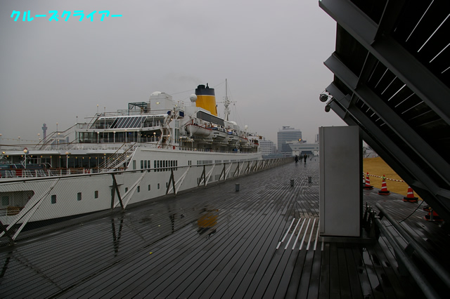 IMGP1651.jpg