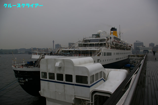IMGP1652.jpg