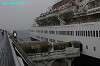 IMGP1658_thumb.jpg