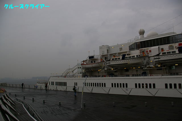 IMGP1661.jpg