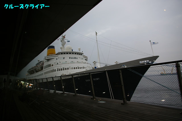 IMGP1667.jpg