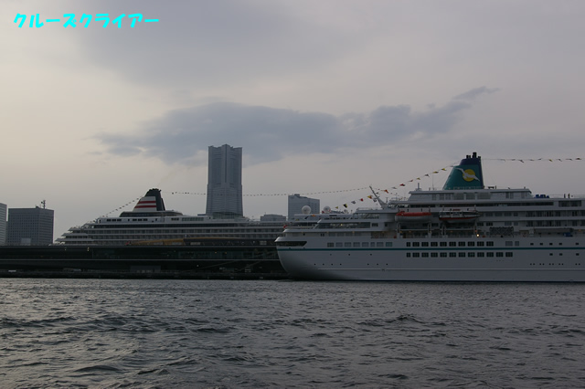 IMGP1780.jpg