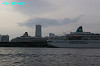 IMGP1780_thumb.jpg