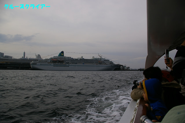 IMGP1782.jpg