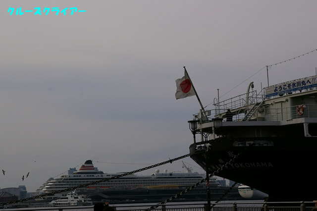 IMGP1788.jpg