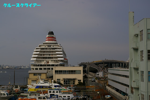 IMGP1794.jpg