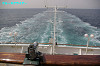 IMGP2223_thumb.jpg