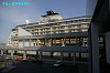 IMGP2381_thumb.jpg