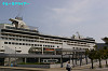 IMGP2426_thumb.jpg