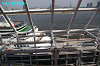 IMGP2453_thumb.jpg
