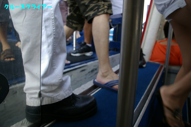 IMGP2761.jpg