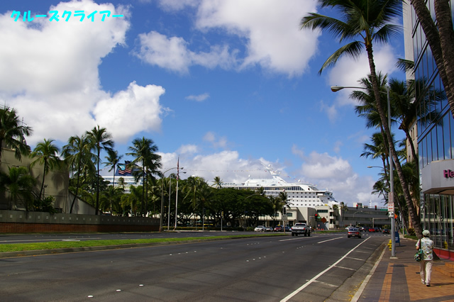 IMGP3787.jpg