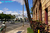 IMGP3788_thumb.jpg