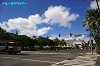 IMGP3790_thumb.jpg