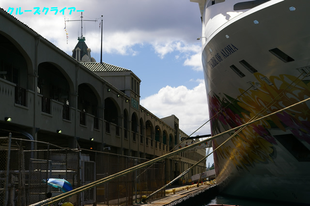 IMGP3801.jpg