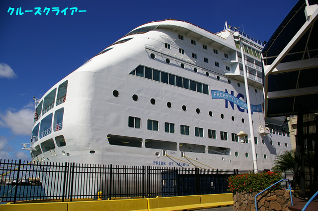 IMGP3804.jpg