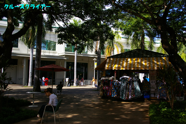 IMGP3831.jpg