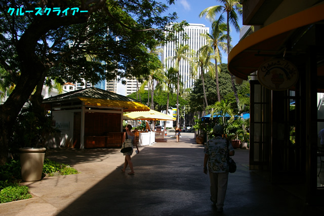 IMGP3832.jpg