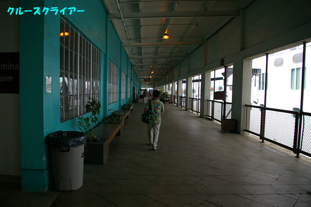 IMGP3842.jpg